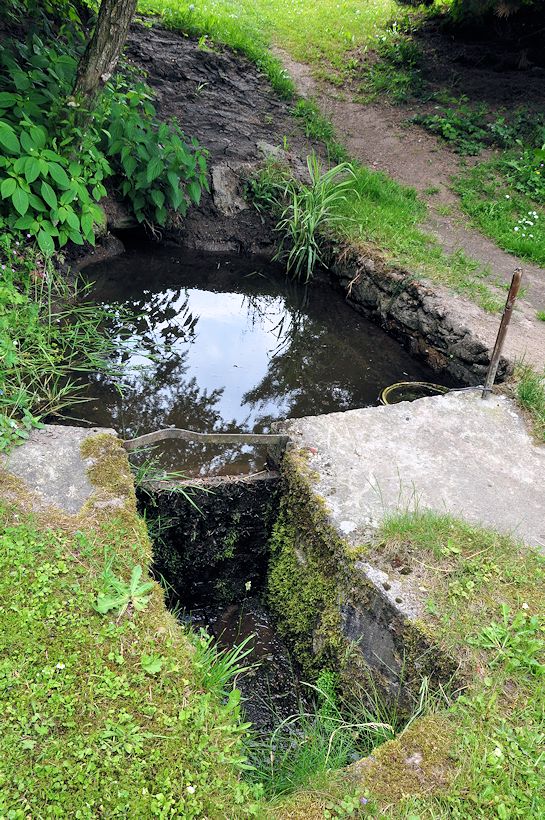 studánka Na Kopci (9901) - červen 2015