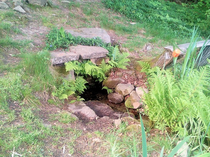 studánka U dobré vody (9906) - červen 2015