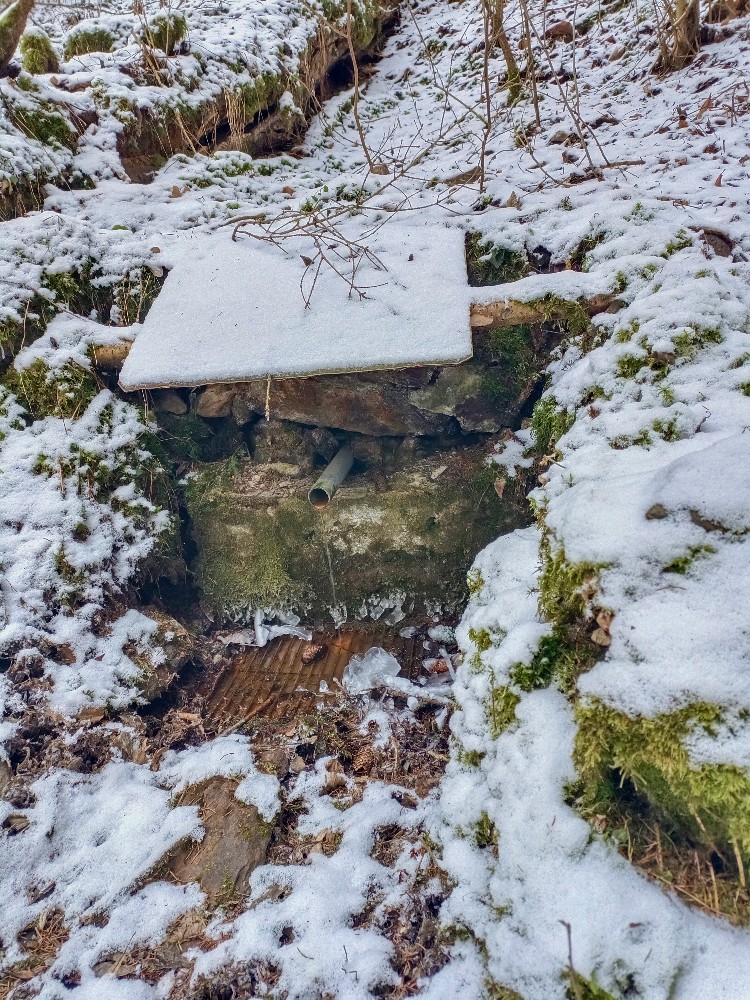 studánka Chatařská (9909) - leden 2024
