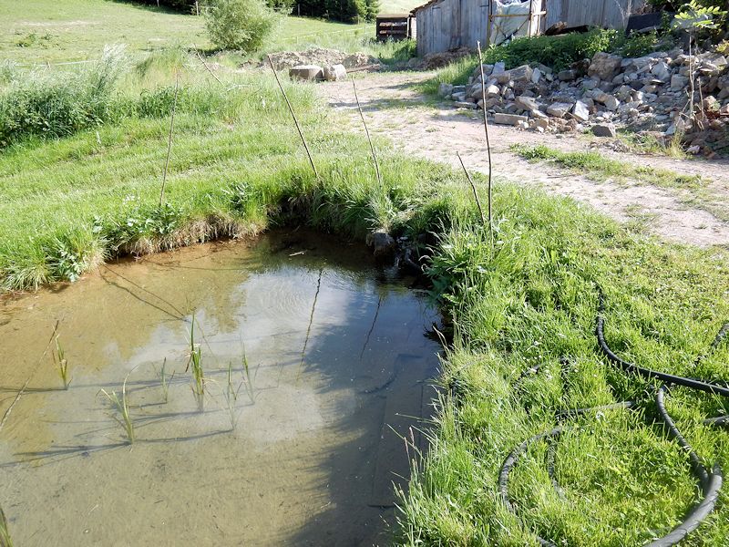 Vondrův pramen (9919) - červen 2015
