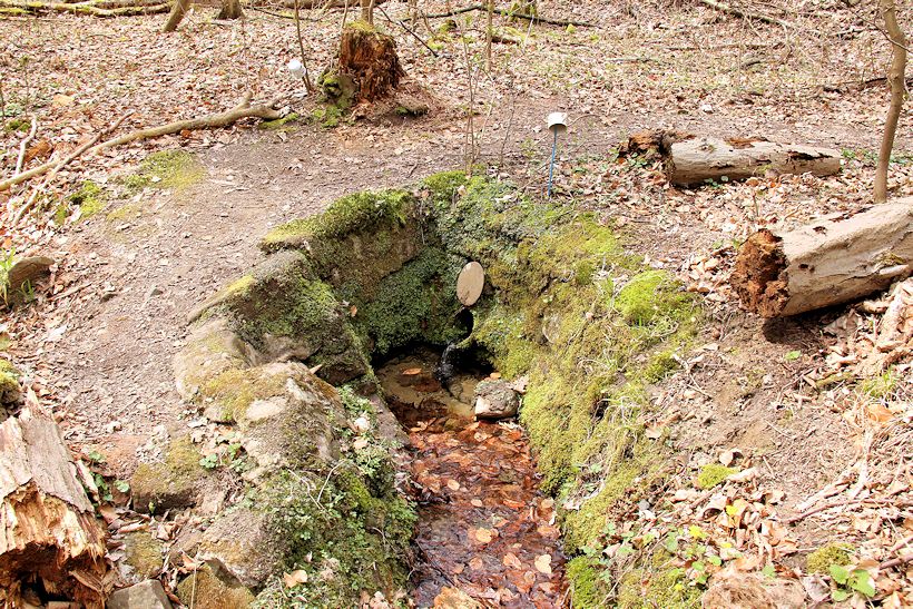 studánka Na Salašském potoce (9929) - červen 2015