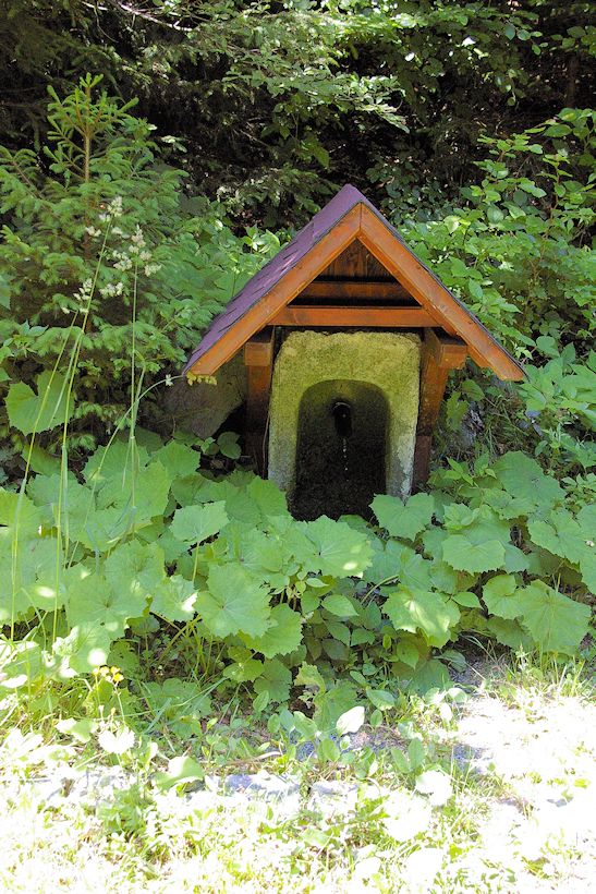 studánka Palečkova (9950) - červenec 2015