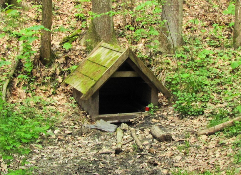 studánka bez jména (9955) - červenec 2015