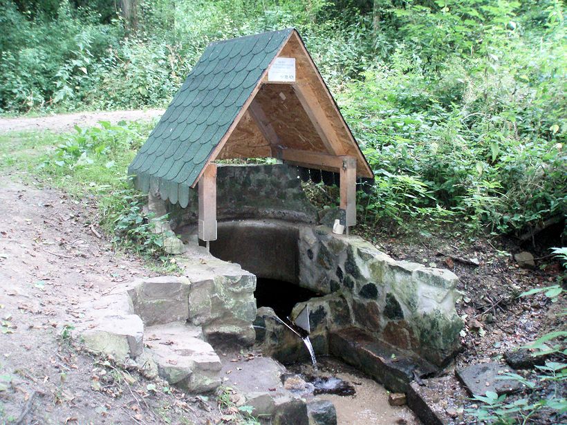 studánka Za ovčárnou (9973) - červenec 2015