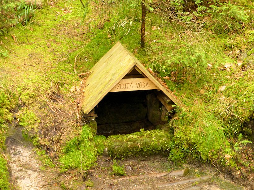 studánka Žlutá voda (9981) - červenec 2015