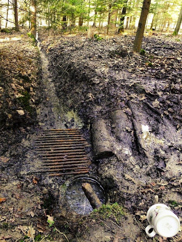 studánka Weberova (10505) - březen 2016