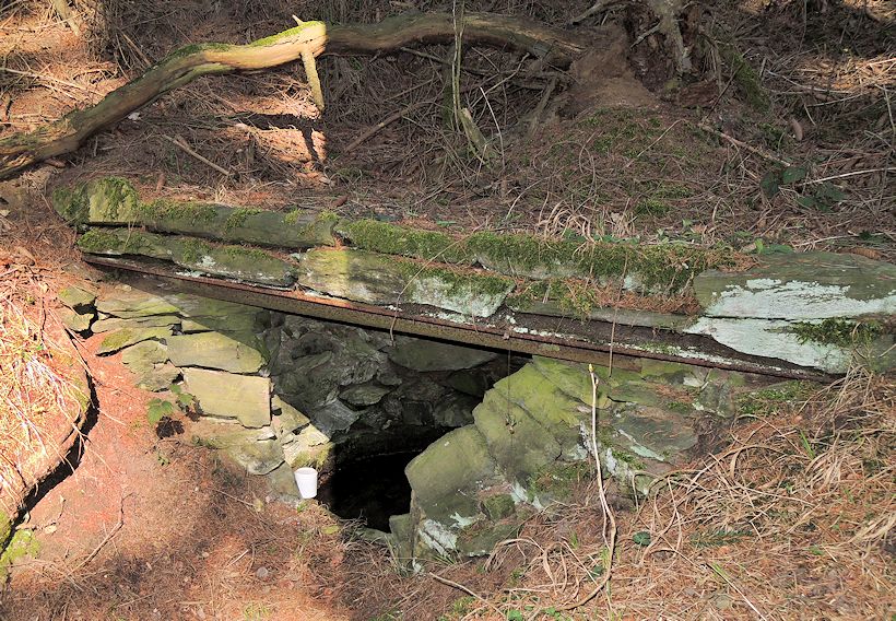 Lesní studánka  (10506) - březen 2016