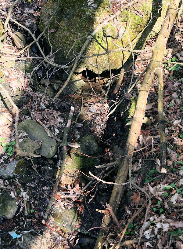 pramen Nad Hájiskem (10517) - březen 2016