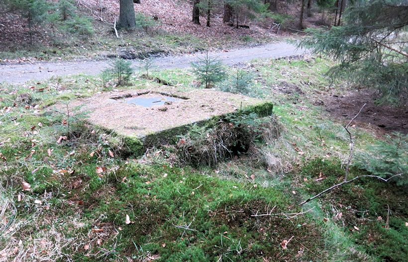 studánka Nový Lesní 2 (10544) - duben 2016