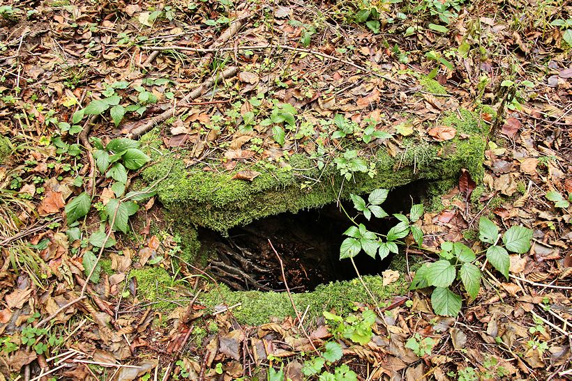 Machova studánka (10582) - duben 2016