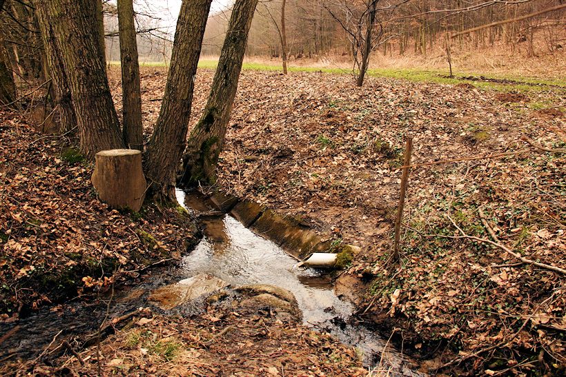 studánka Panenská (10583) - duben 2016