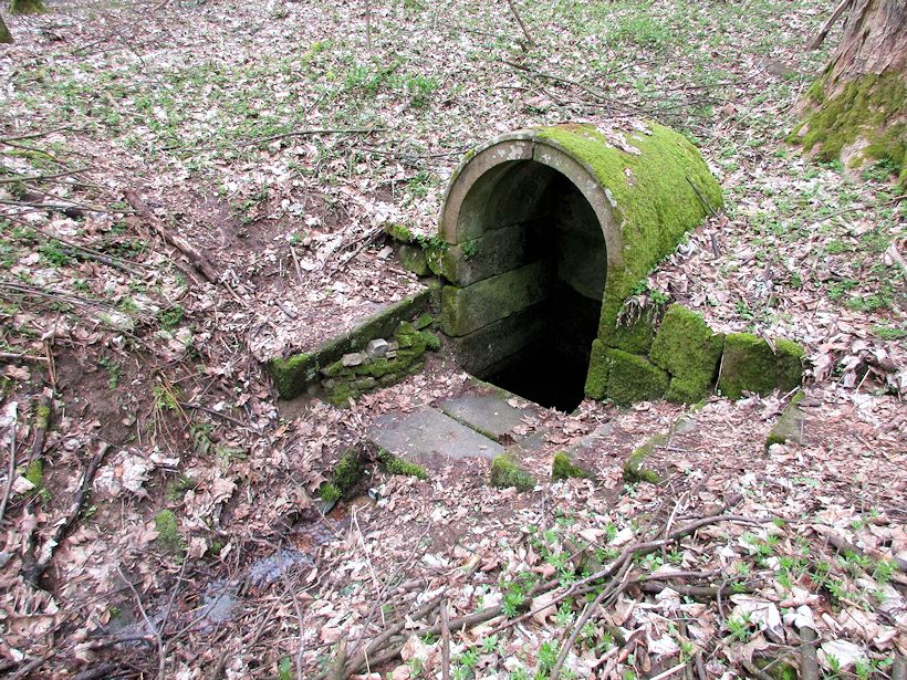 studánka Pod Krumwaldem (10593) - duben 2016