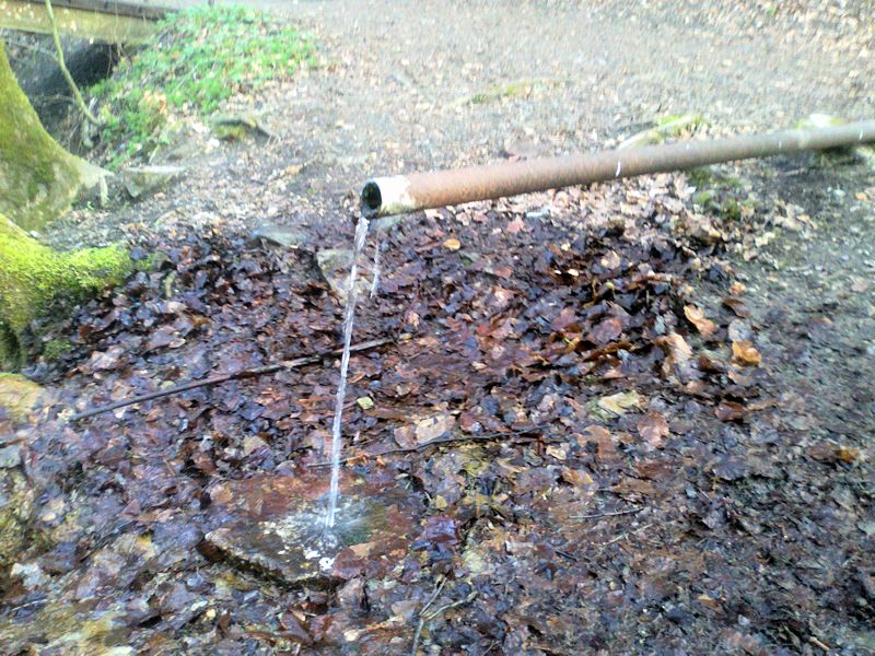 studánka Malá Tróbka (10595) - červenec 2022