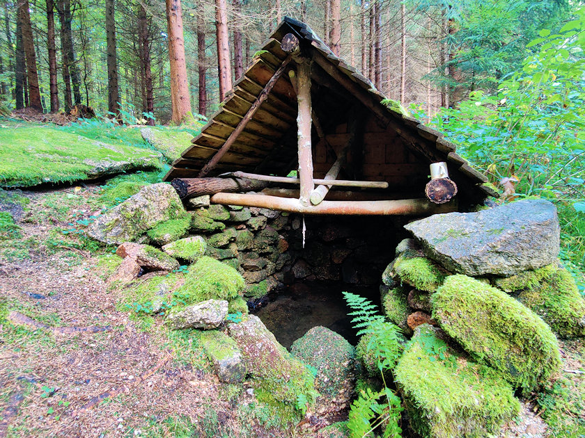 studánka bez jména (10632) - září 2021