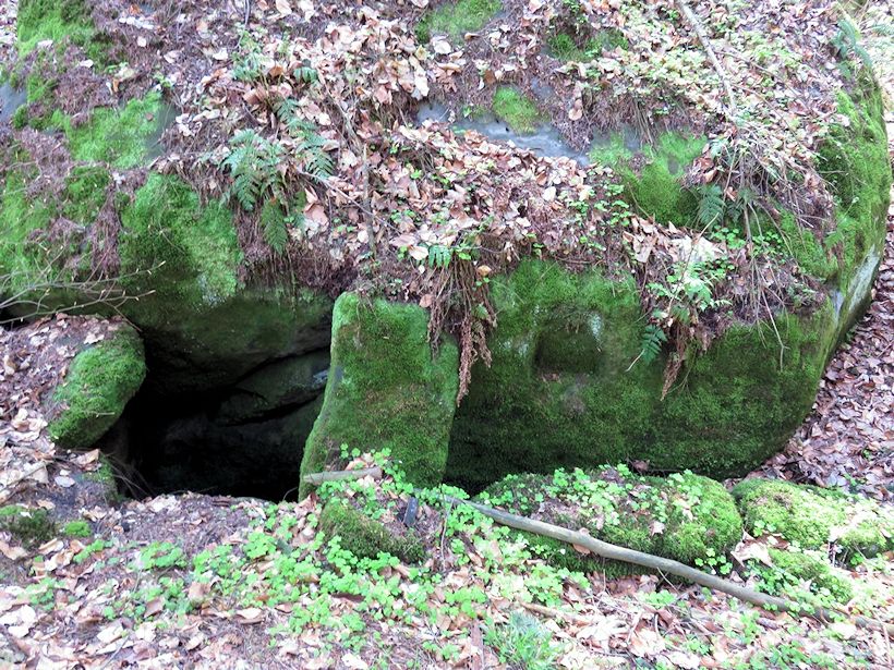 studánka Pod Radčí (10642) - duben 2016