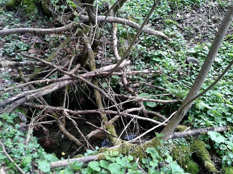 studánka Pod Činovem (10664) - květen 2016