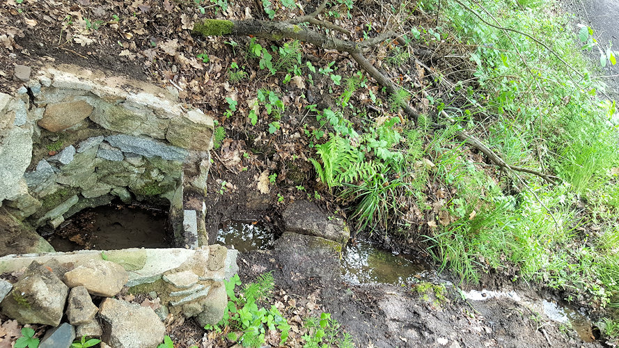 Ostudánka  (10669) - květen 2019