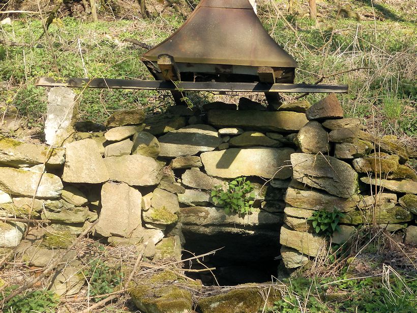 studánka bez jména (10670) - květen 2016
