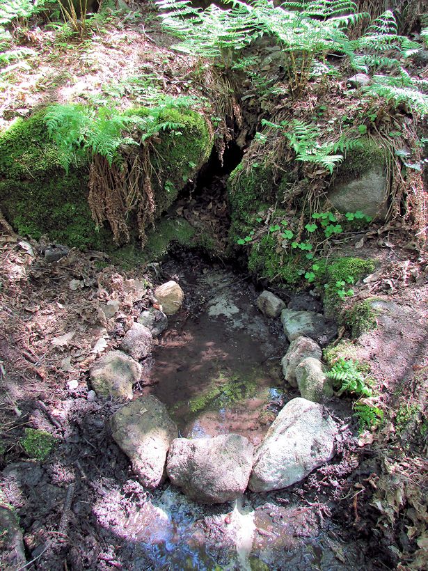 Hřivická studánka (10672) - květen 2016