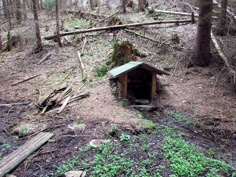 studánka U Hraničního kamene (10677) - květen 2016