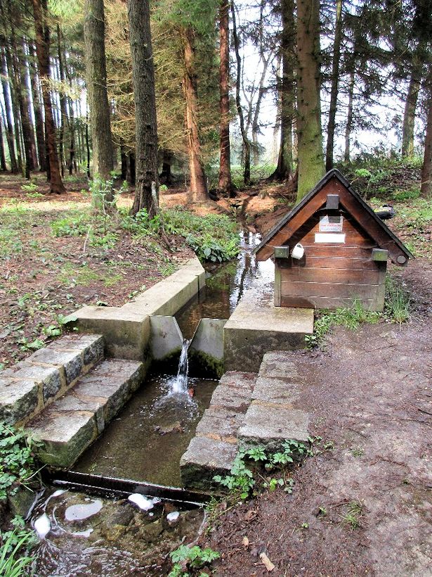 Přadnýho studánka (10678) - květen 2016