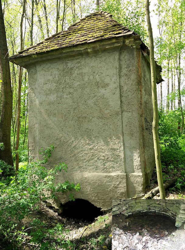 studánka Sv.Václava (10686) - květen 2016