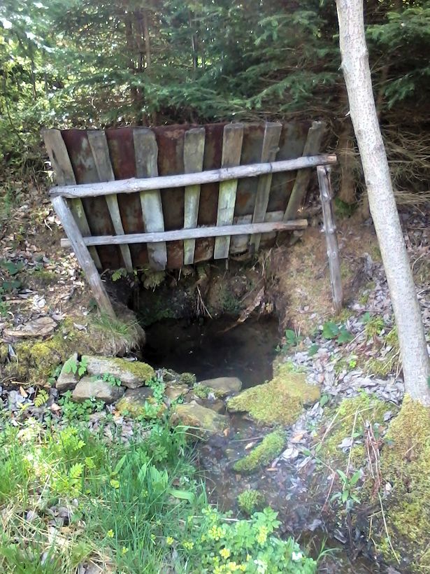 studánka pod Kyčerou (10693) - květen 2016