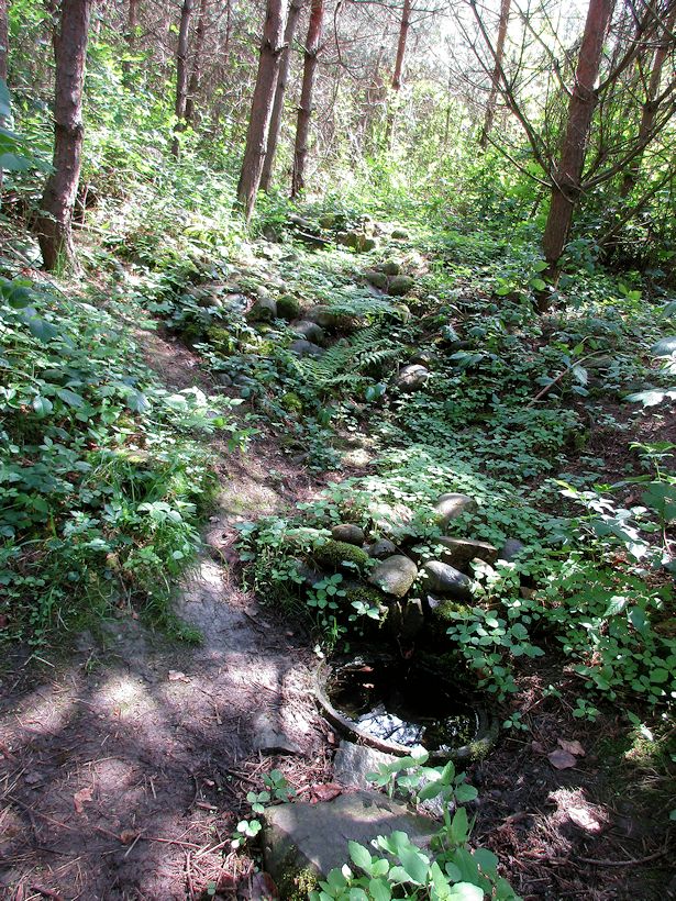 studánka Pavla (10706) - květen 2016