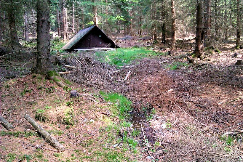 studánka Pod Hraničářem (10712) - květen 2016