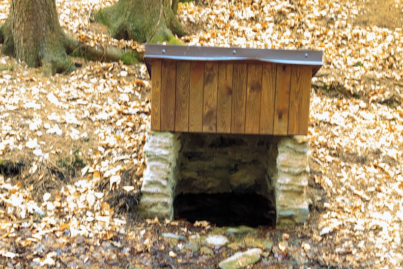 studánka Pod Žižkovým dubem (10722) - květen 2016