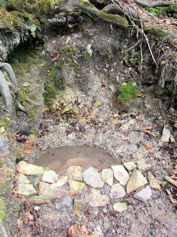 studánka Bělka (10729) - květen 2016