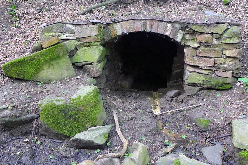 studánka bez jména (10735) - červen 2016