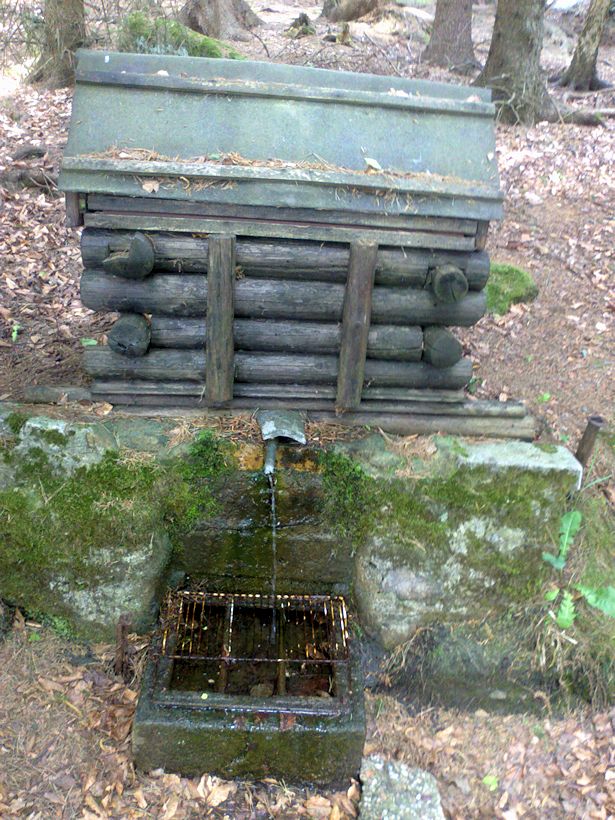 studánka Lesní (10739) - červen 2016