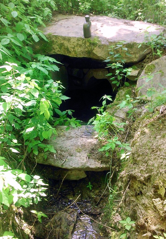 studánka Na Skalkách (10764) - červen 2016