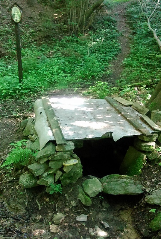 studánka Kašparův mlýn (10766) - červen 2016