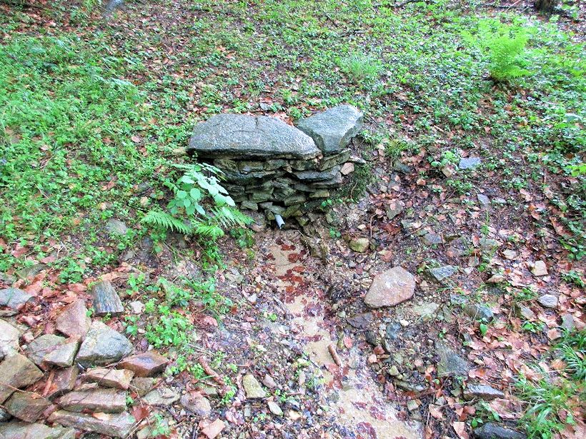 studánka U pomníku (10777) - červen 2016