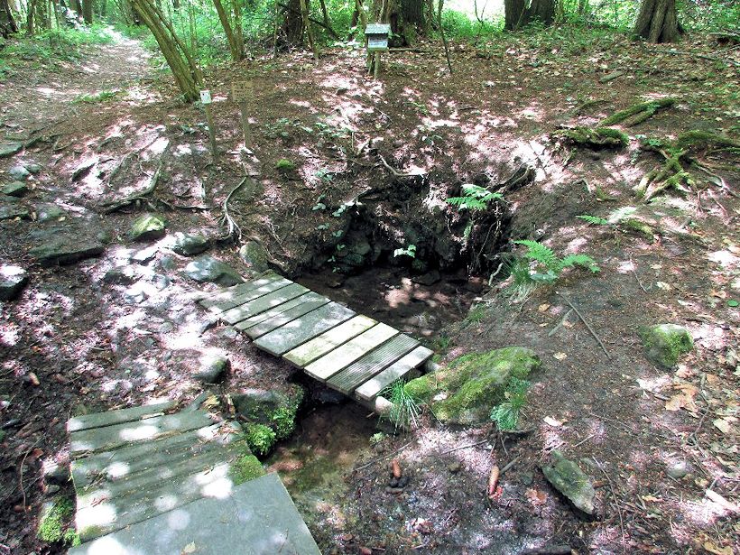 studánka bez jména (10778) - červen 2016