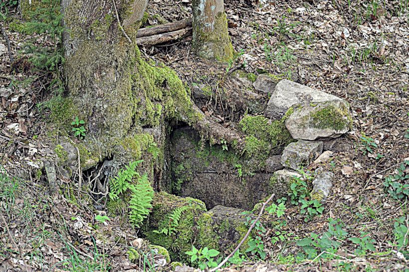 studánka bez jména (10800) - červenec 2016