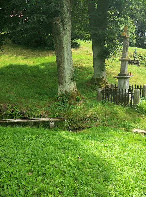 jiný vodní zdroj U křížku (10830) - červenec 2016