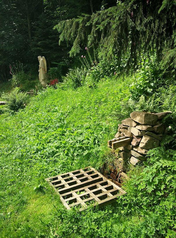 studánka U Piety (10831) - červenec 2016