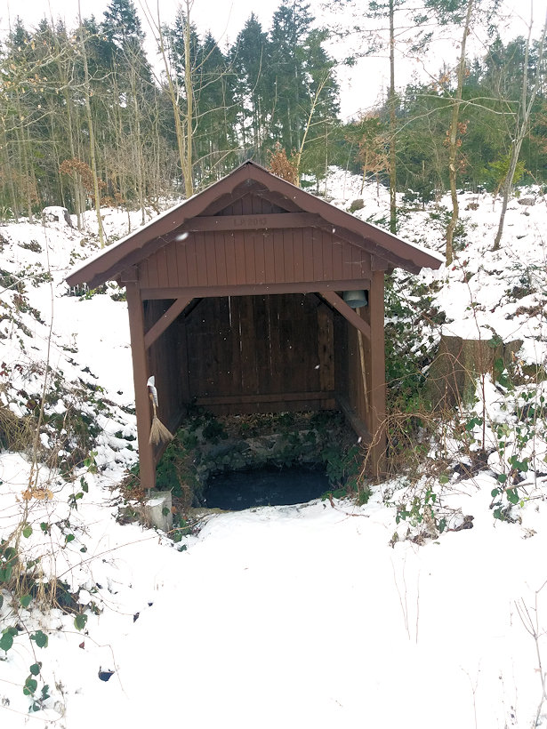 Komošínská studánka (10841) - leden 2021