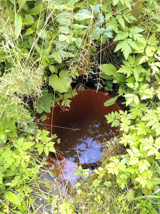 studánka Nezdická kyselka (10843) - červenec 2016
