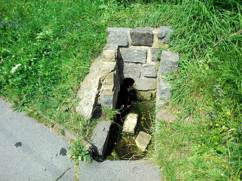 Sibiřský pramen (10849) - červenec 2016