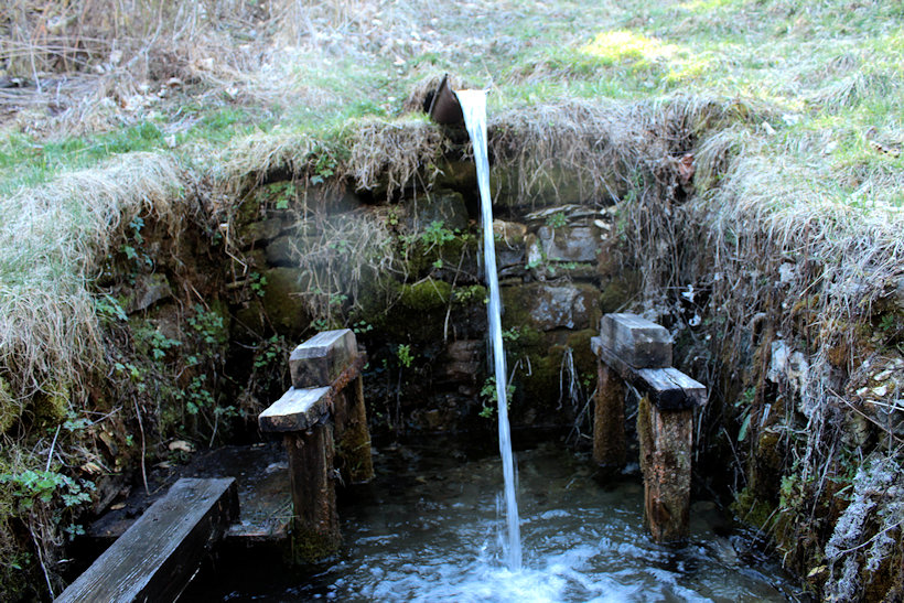 studánka U lyžařského vleku (10861) - duben 2020
