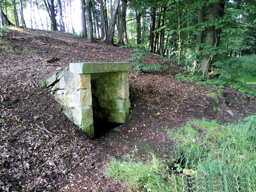studánka Vítězná (10876) - červenec 2016