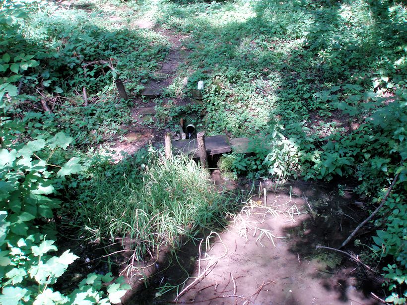 studánka U Sklářské chaty (10891) - srpen 2016