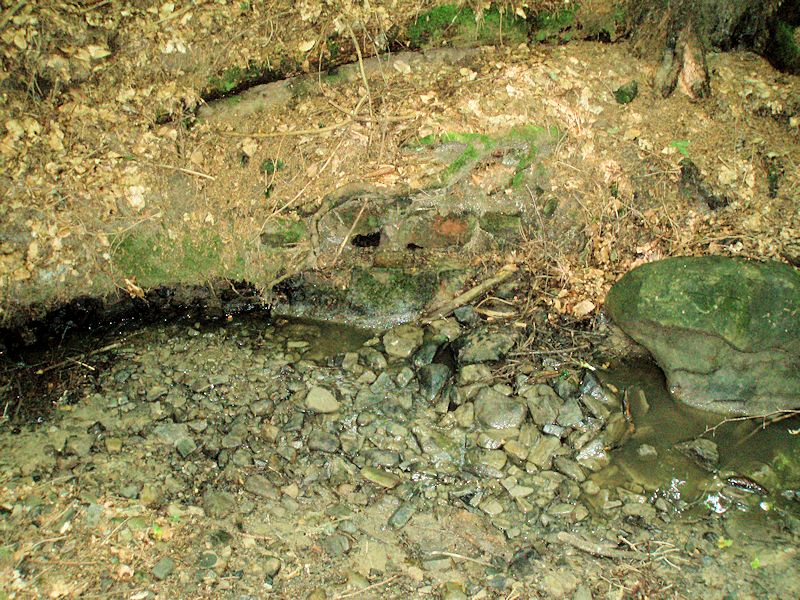 studánka Zdravá voda (10894) - srpen 2016