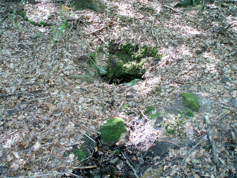 Velebilova studánka (10909) - srpen 2016