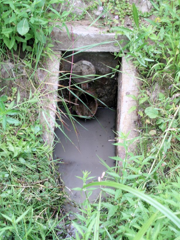 jiný vodní zdroj Nad Stúpalkou (10917) - srpen 2016