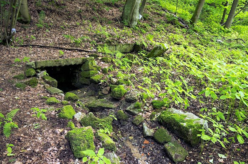 studánka bez jména (10922) - srpen 2016